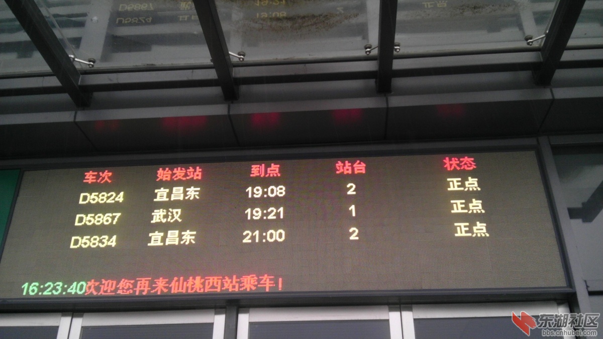 IMAG0811.jpg