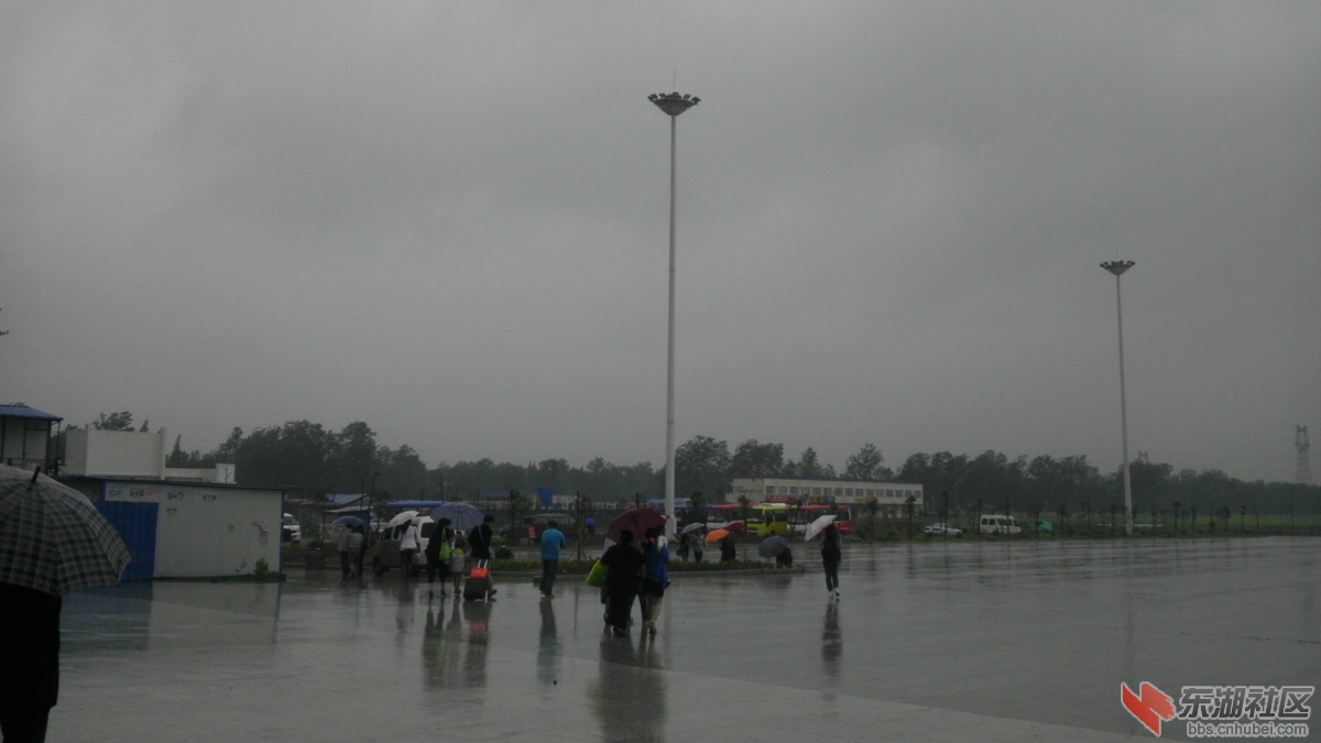 IMAG0823.jpg