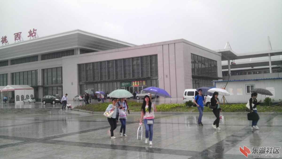 IMAG0824.jpg