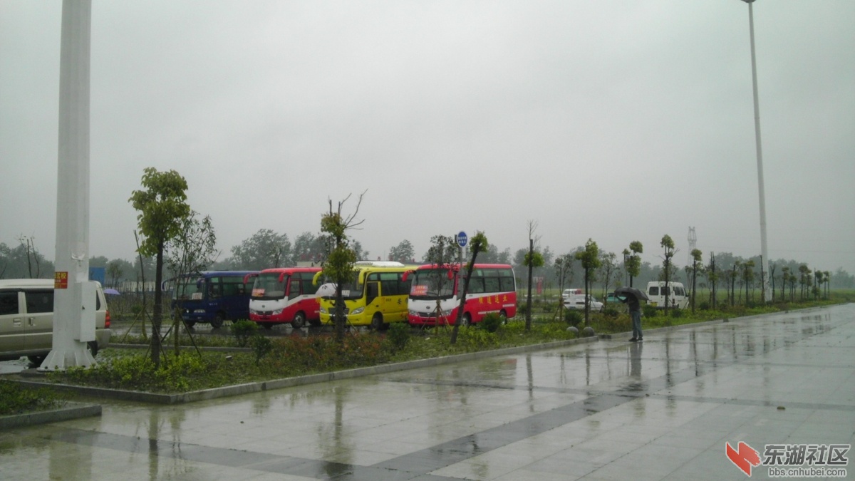 IMAG0825.jpg