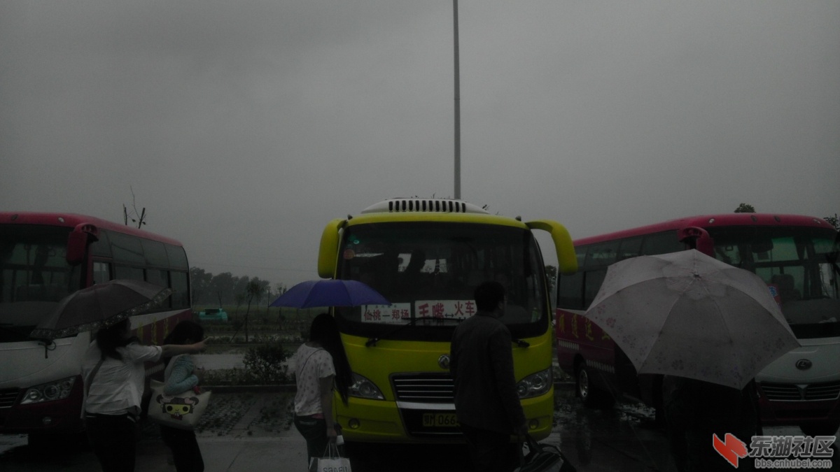 IMAG0826.jpg