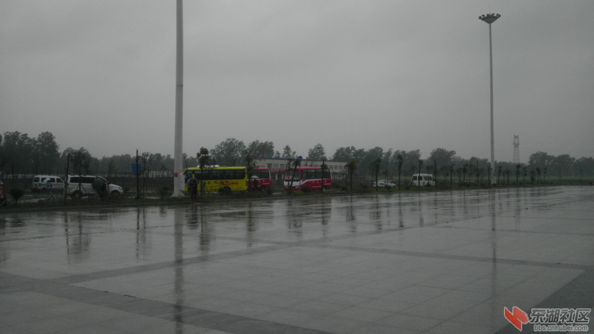 IMAG0833.jpg