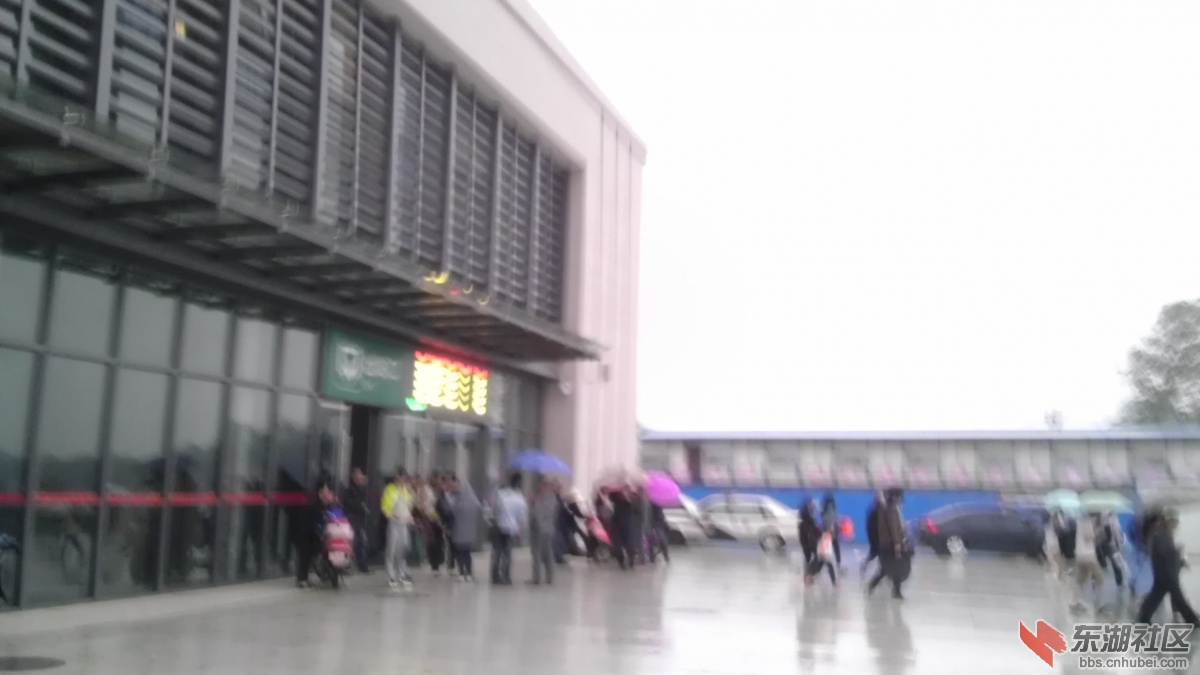 IMAG0845.jpg