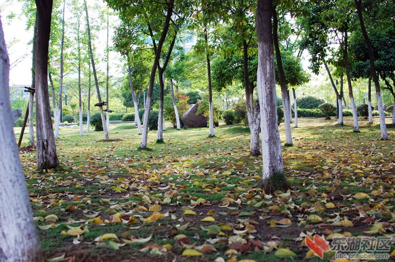 DSC_0052_副本_副本.jpg
