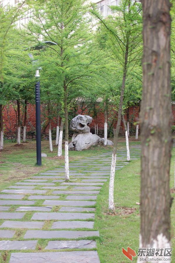dsc_0046_副本_副本.jpg