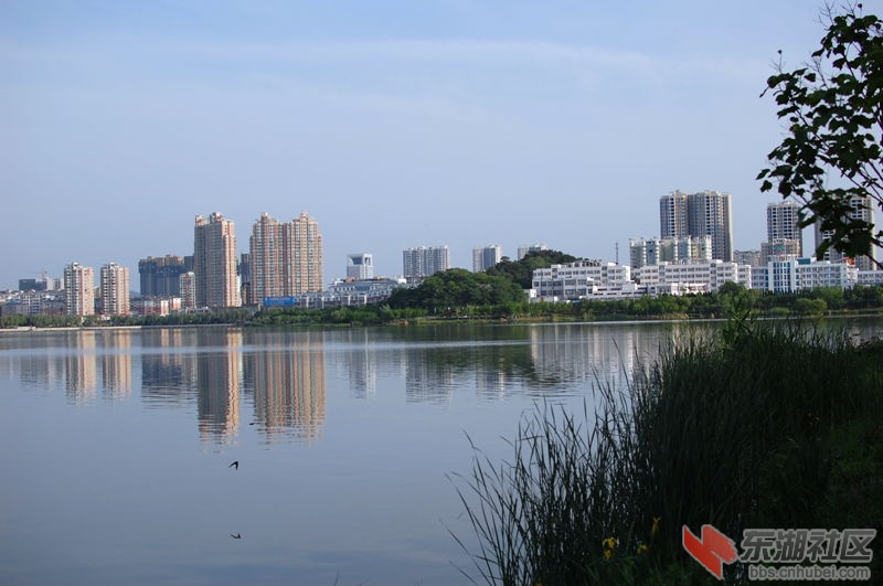 DSC_0051_副本.jpg