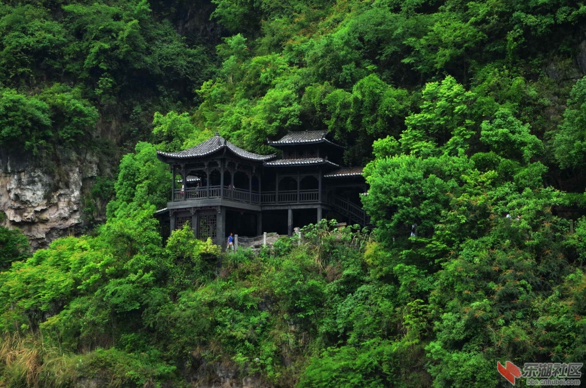 DSC_0139.jpg