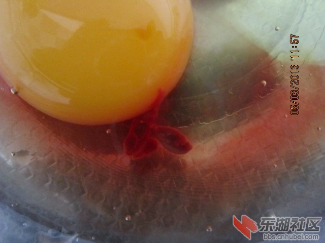 照片 066.jpg