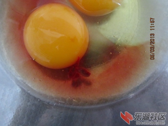 照片 064.jpg