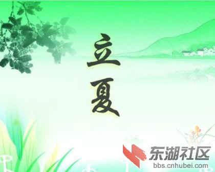 20130505081787728772.jpg