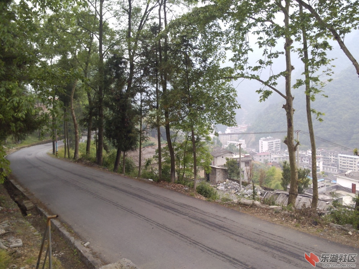 P30505-115258.jpg