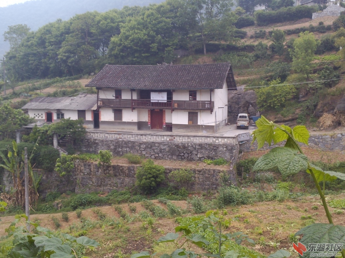P30505-114233.jpg