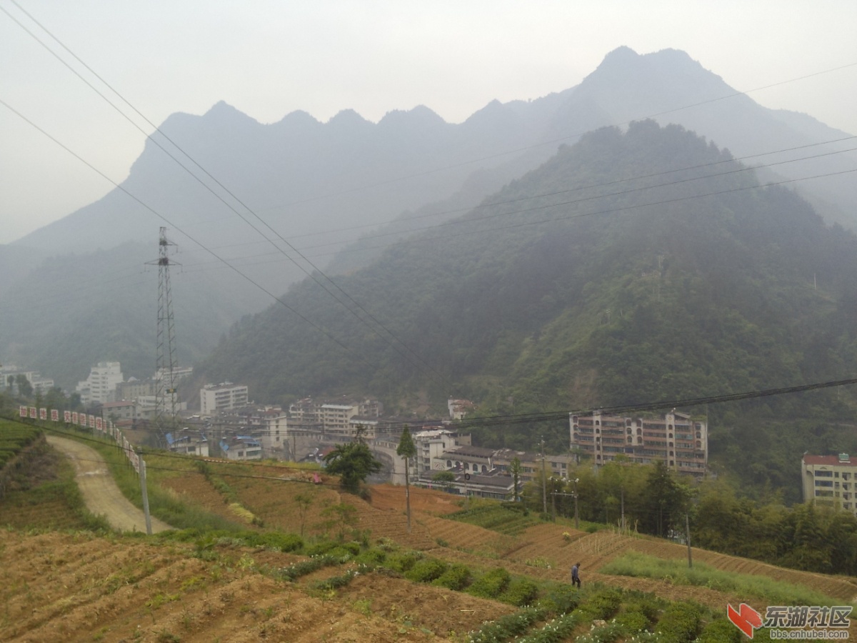 P30505-112914.jpg