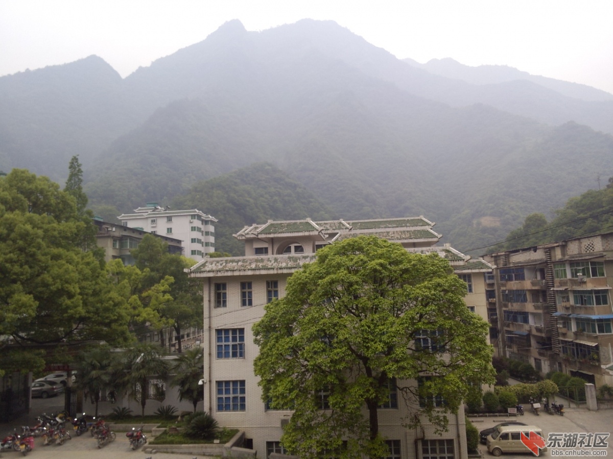 P30505-075548.jpg
