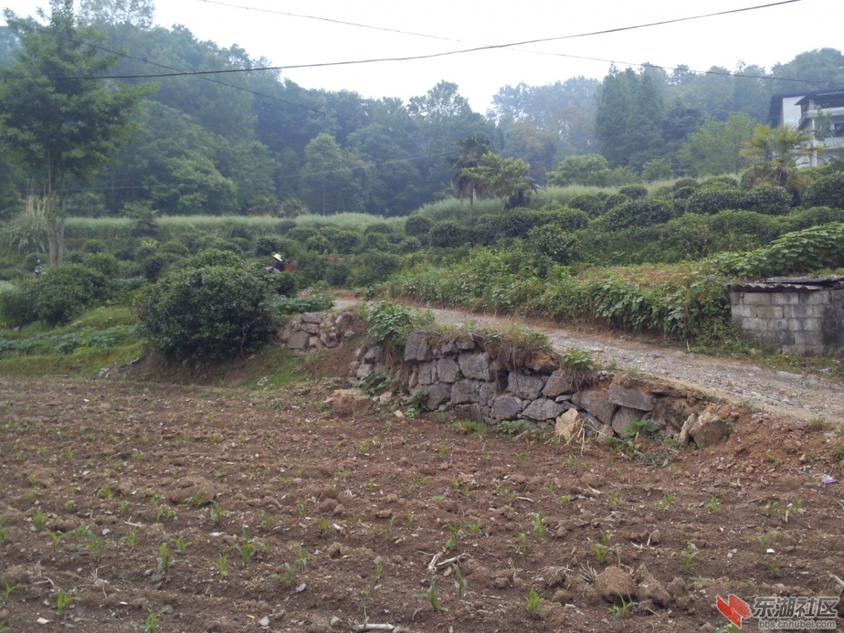 P30505-113651.jpg