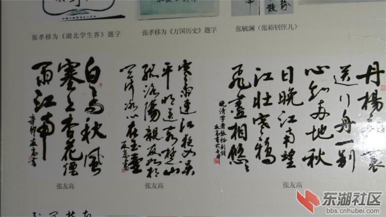 DSC08137 (1).jpg