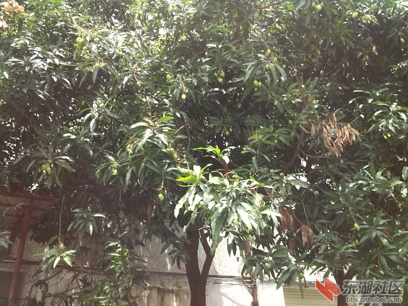 IMG_20130507_111610.jpg