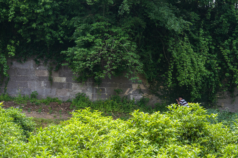 新登古城6.jpg