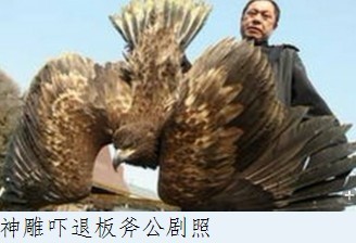 神雕吓退板斧公剧照.jpg