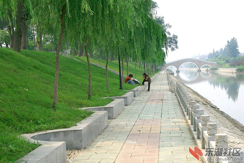 2009112060128969.jpg