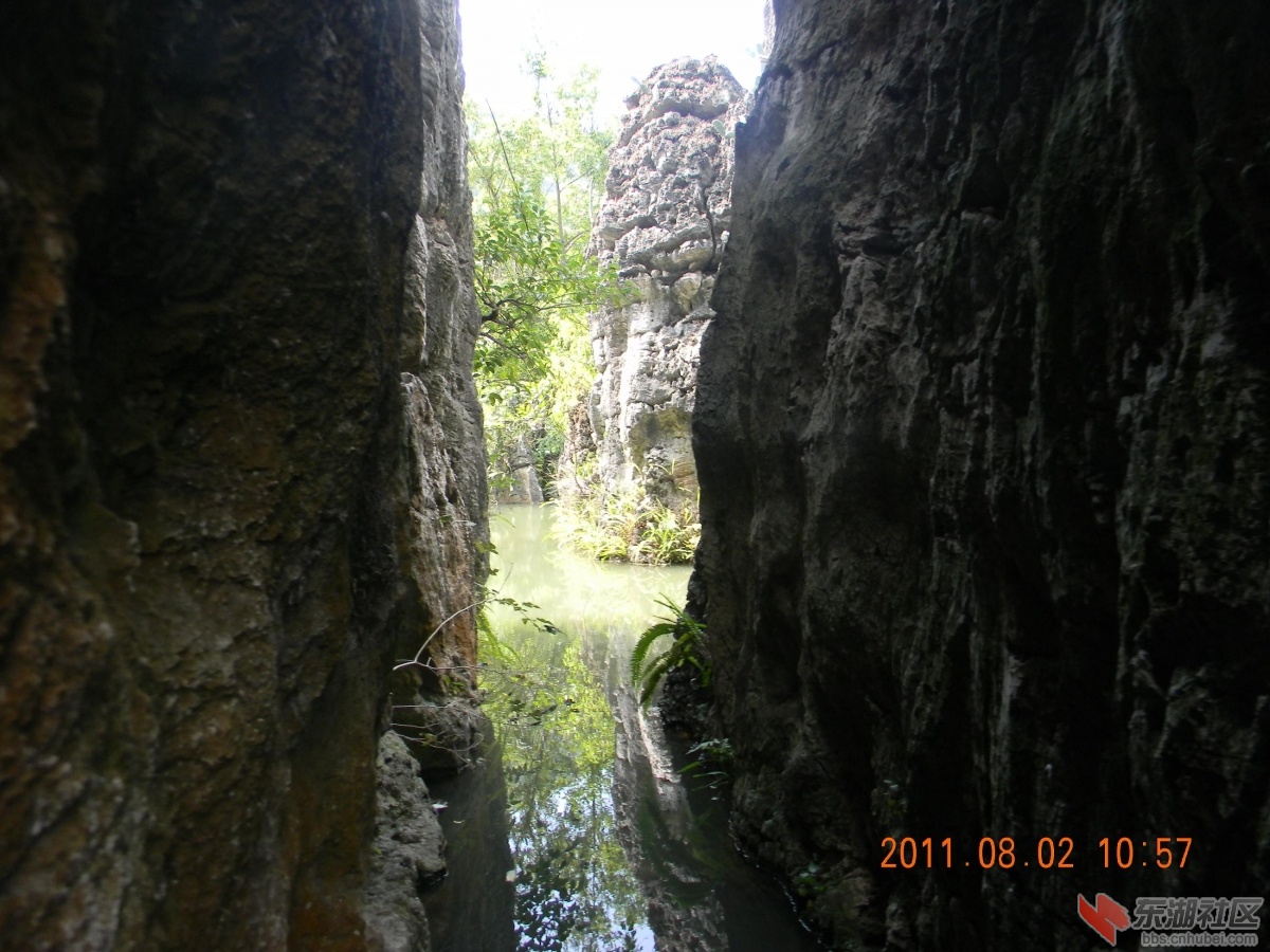 DSCN5783.JPG