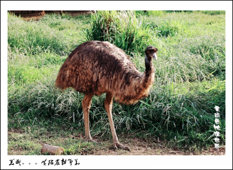 IMG_0932_副本_conew1.jpg