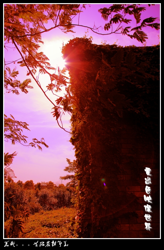 IMG_0714_副本_conew1.jpg
