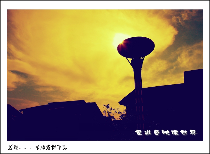 IMG_0783_副本_conew1.jpg