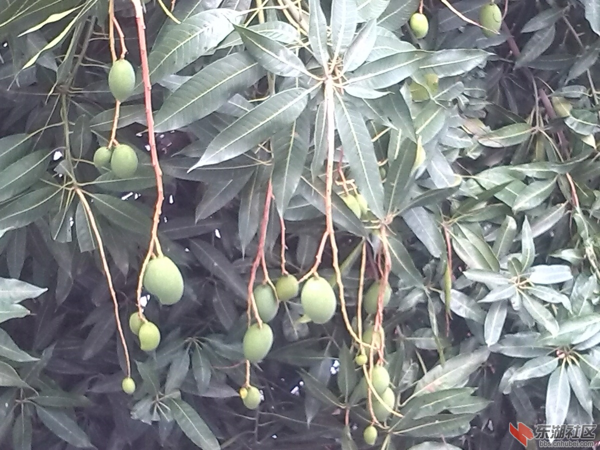 IMG_20130512_133440.jpg