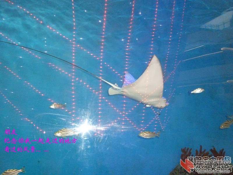 世博2_副本.jpg