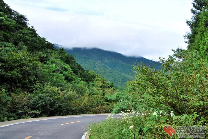 DSC_1042_副本.jpg