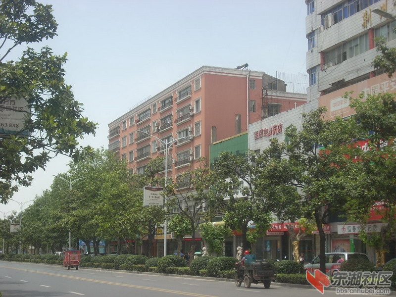 dscn0230.jpg