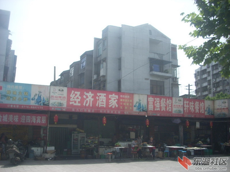 DSCN0313.jpg
