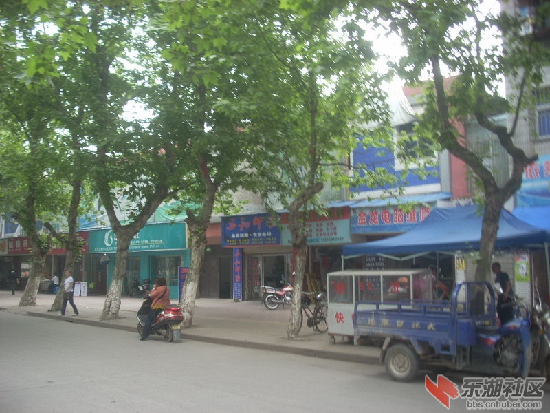 DSCN0449.jpg