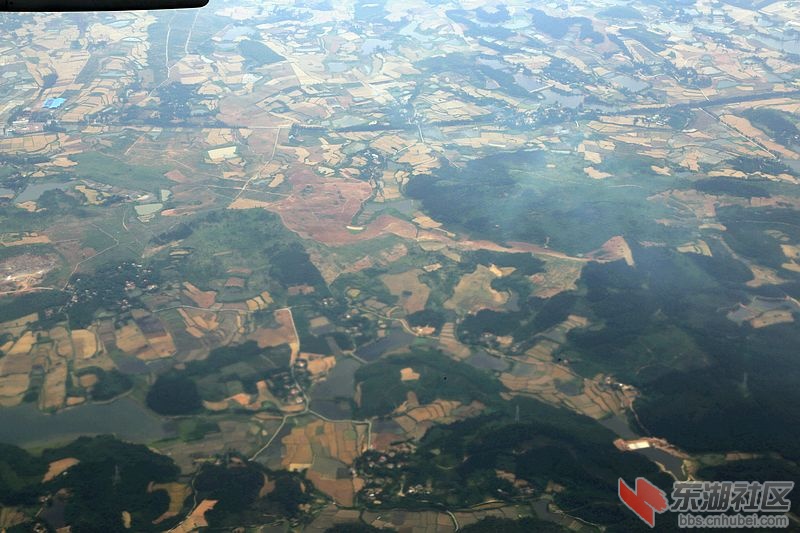 麦田5.jpg