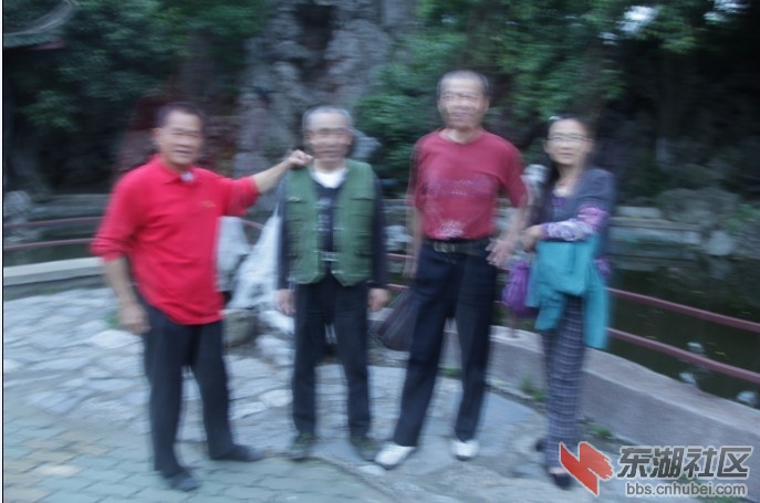 51701.jpg