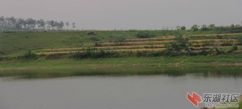木桥村5.jpg