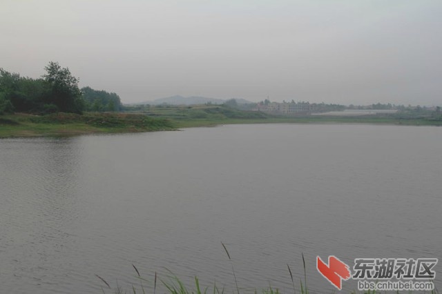 木桥村7.jpg
