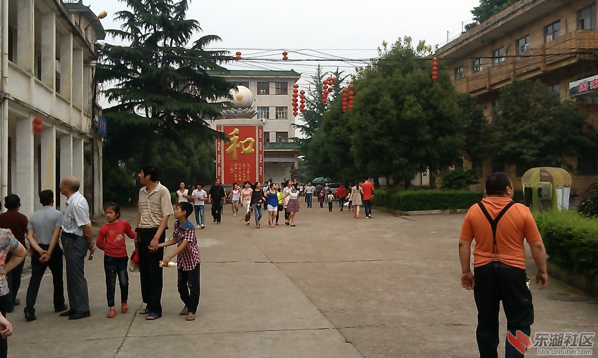 IMAG0178.jpg