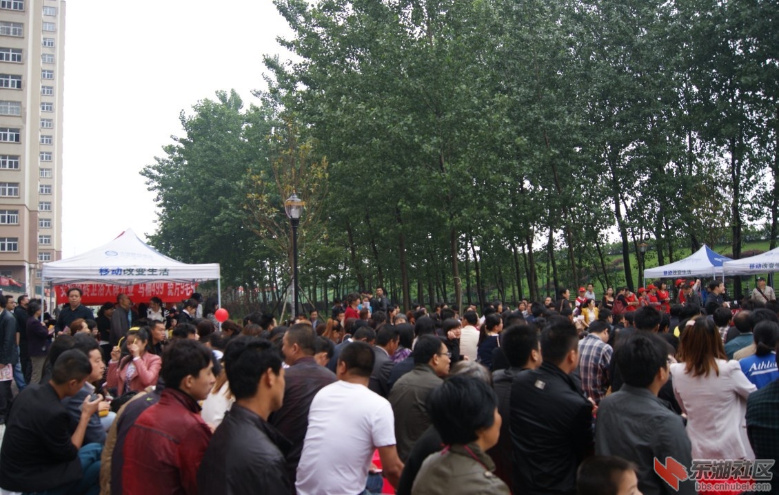 QQ图片20130520101358.jpg