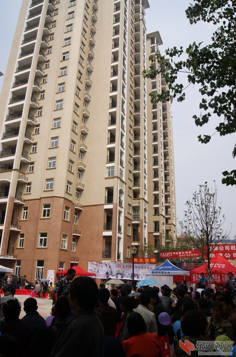 QQ图片20130520104354.jpg