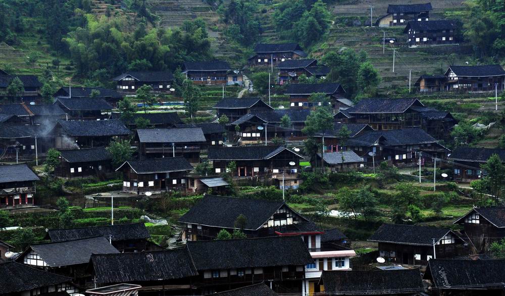 紫鹊界 617.jpg5.jpg