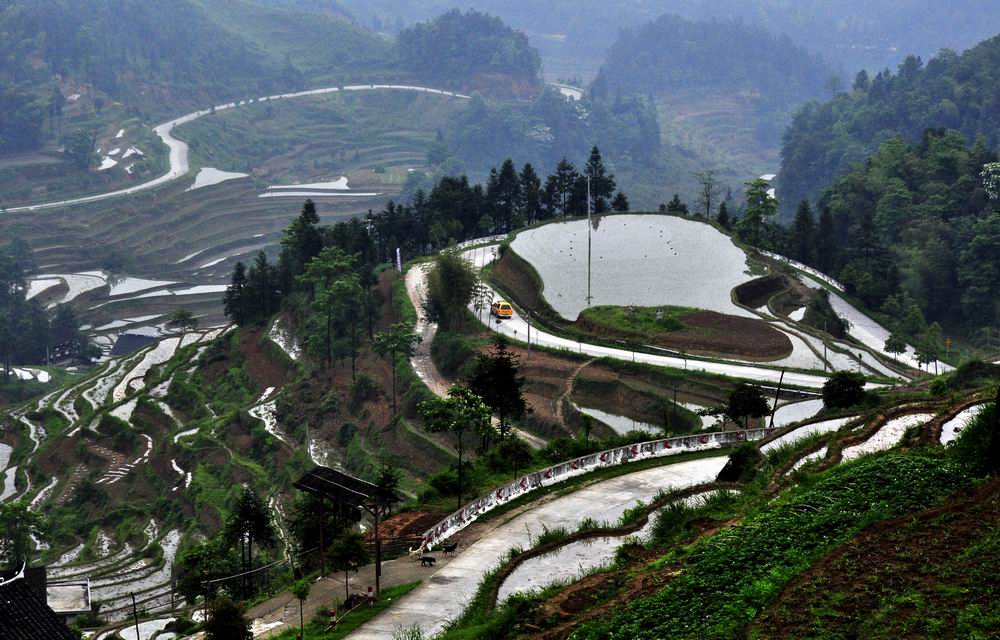 紫鹊界 165.jpg1.jpg5.jpg