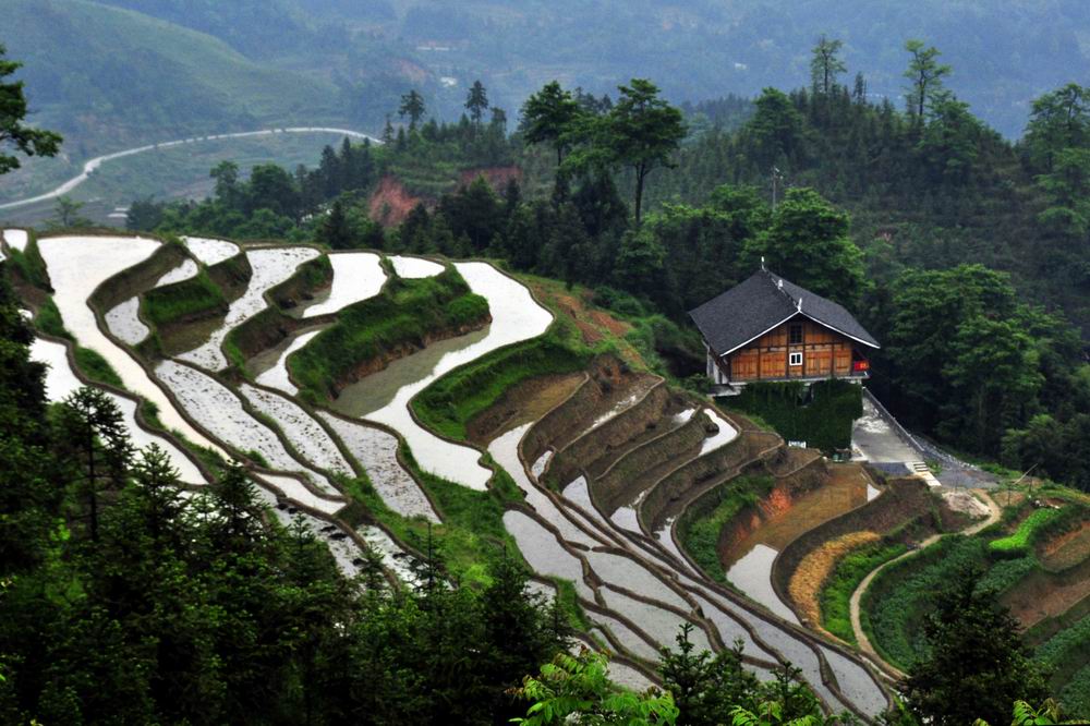 紫鹊界 427.jpg1.jpg5.jpg