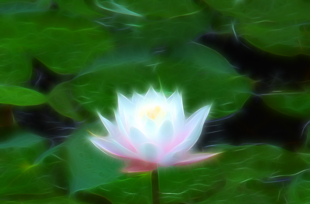 另类0337.jpg
