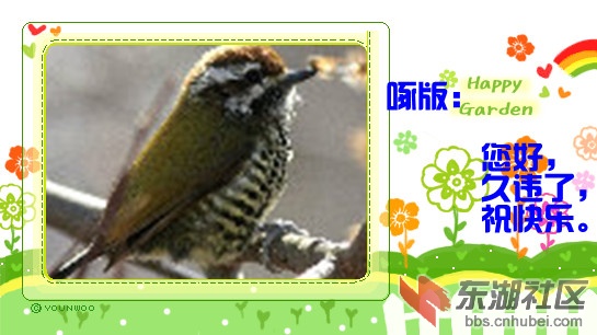 222_副本.jpg