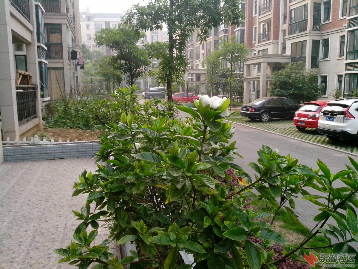 IMG_20130524_090256.jpg