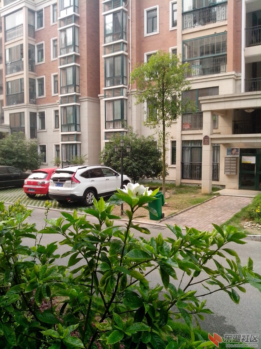 IMG_20130524_092807.jpg