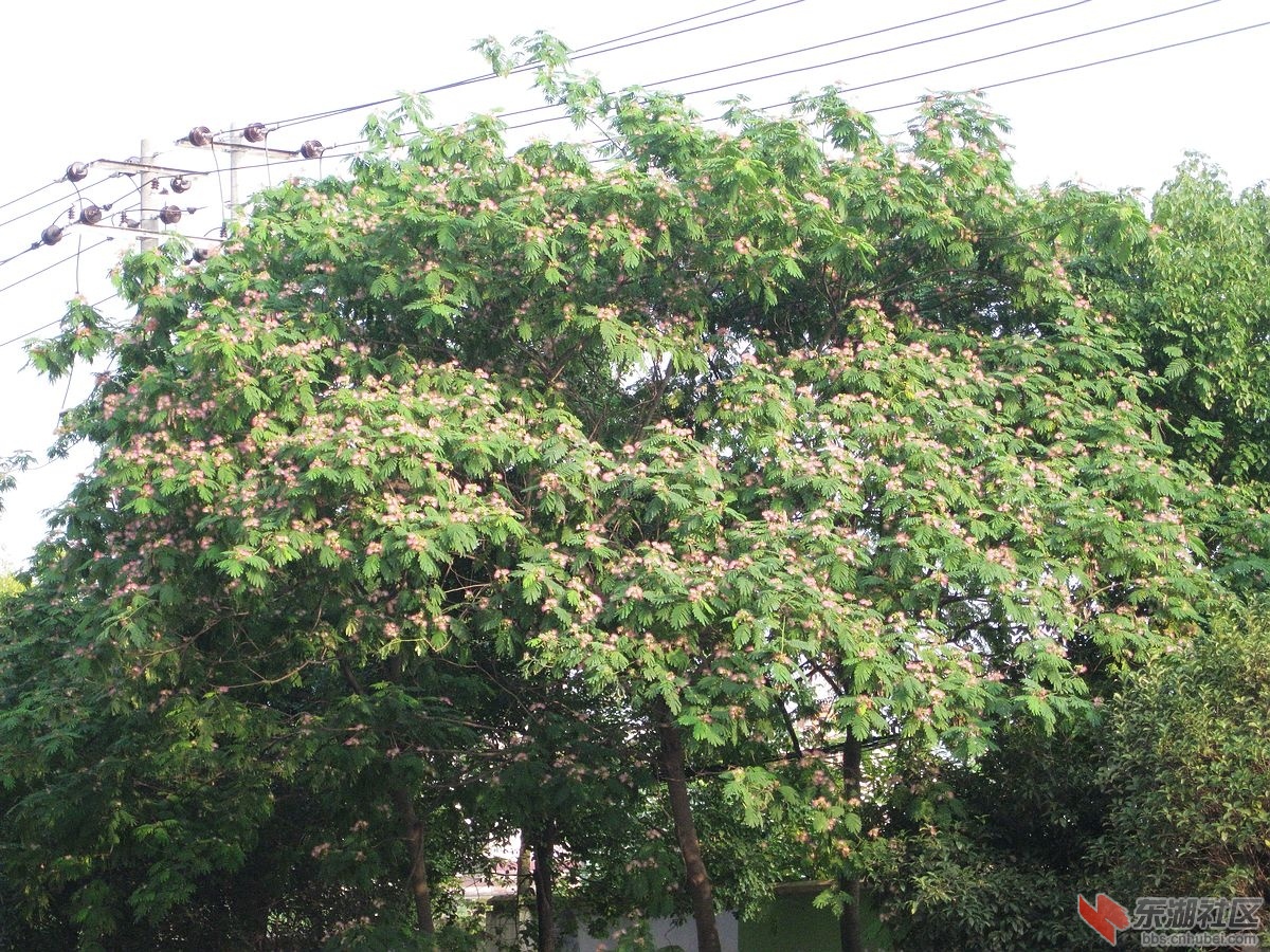 nEO_IMG_IMG_0406.jpg
