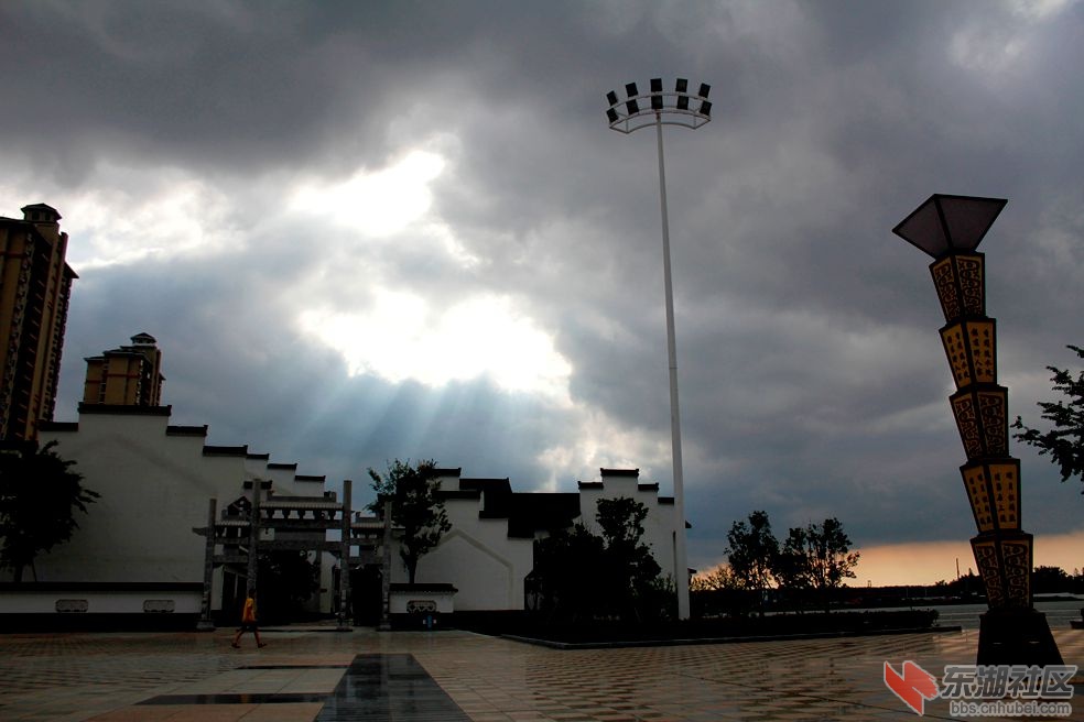 _MG_1039.JPG